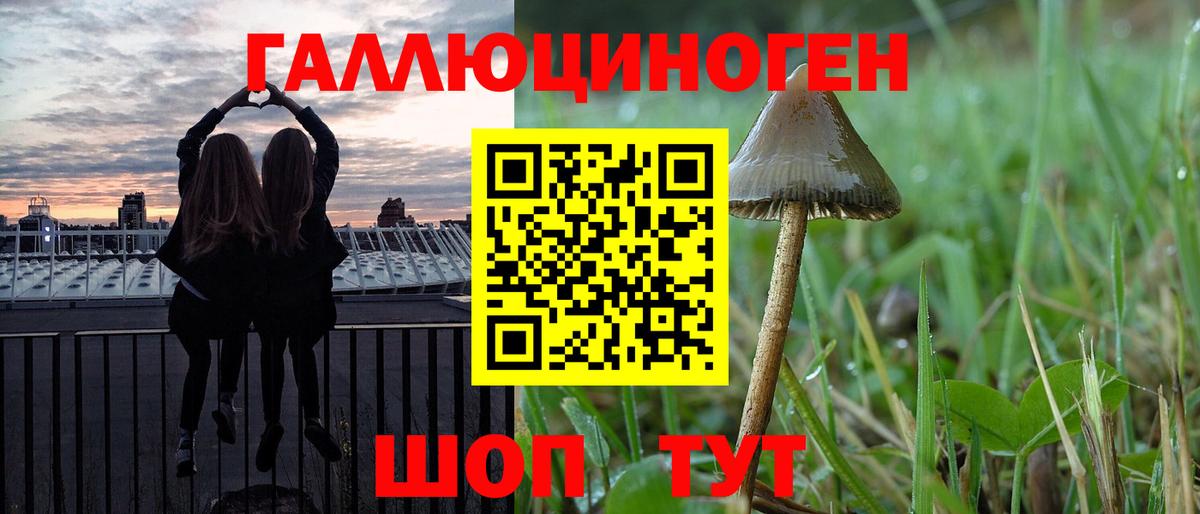 Галлюциногенные грибы MAGIC MUSHROOMS Ухта