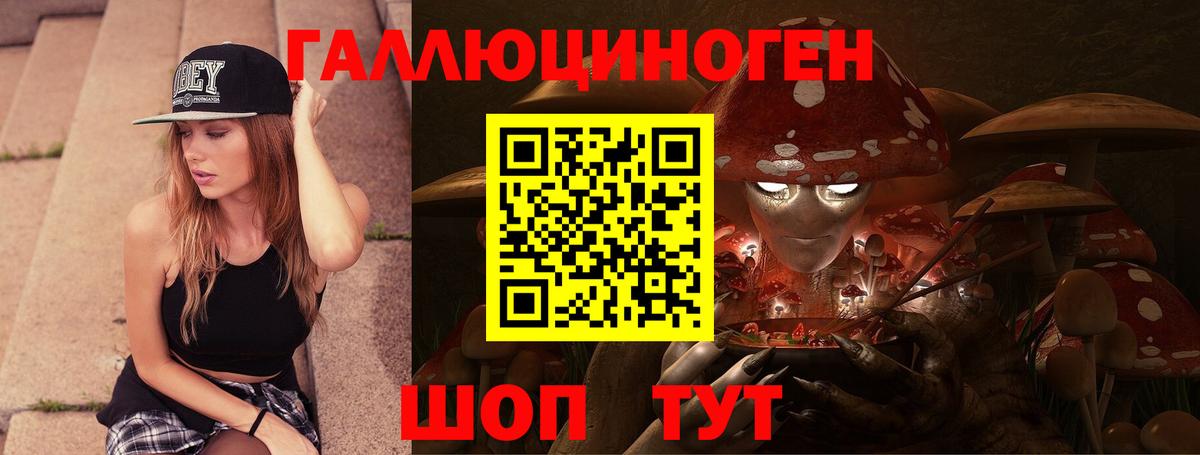 Ухта  Галлюциногенные грибы Cubensis  Вход с VPN 